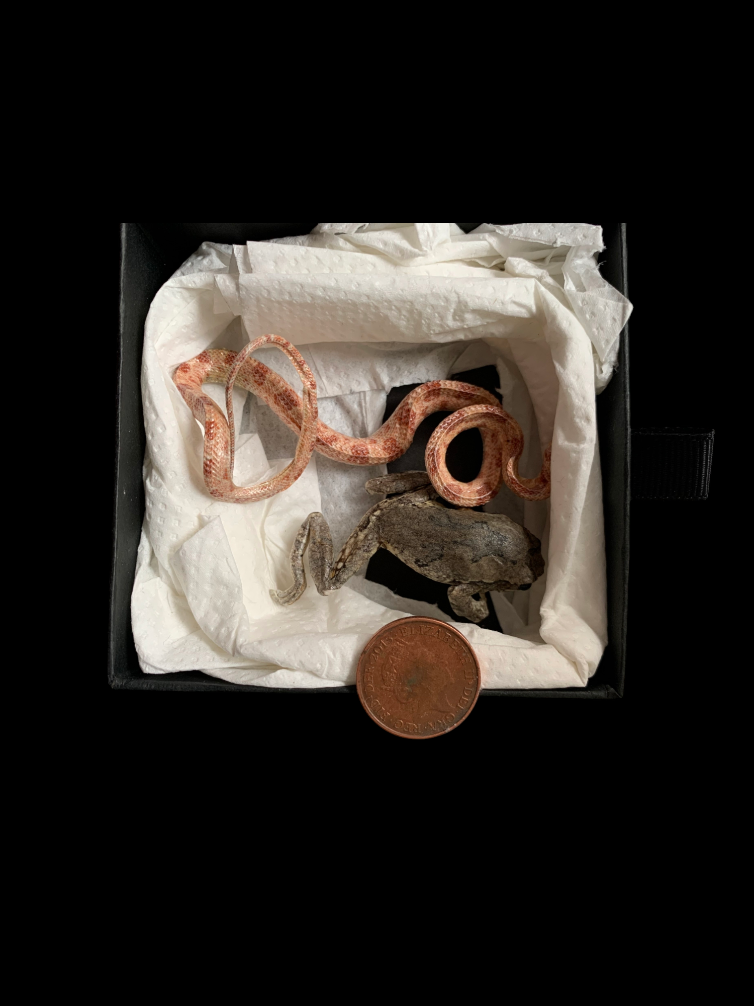 Image 20